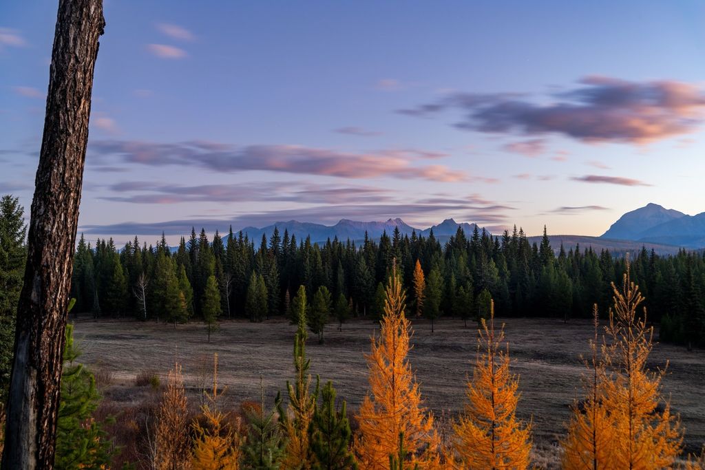 8500 North Fork Road, Polebridge, MT 59928 photo 115