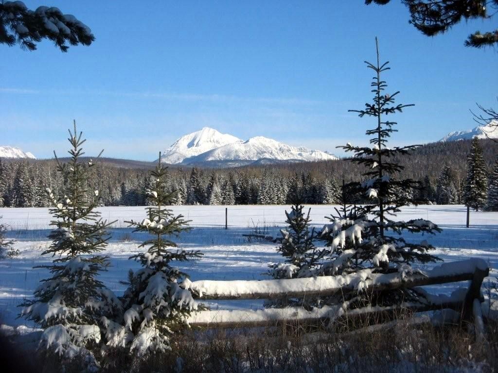 8500 North Fork Road, Polebridge, MT 59928 photo 127