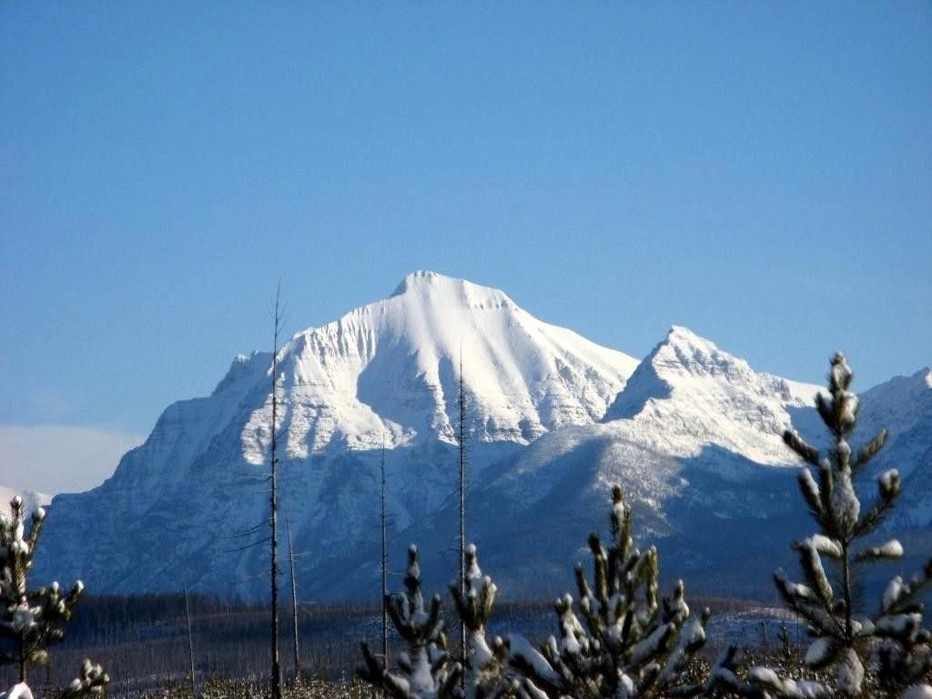 8500 North Fork Road, Polebridge, MT 59928 photo 129
