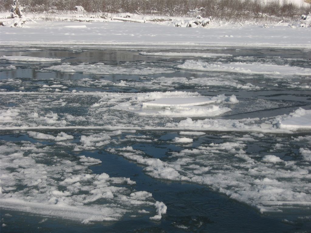 8500 North Fork Road, Polebridge, MT 59928 photo 134