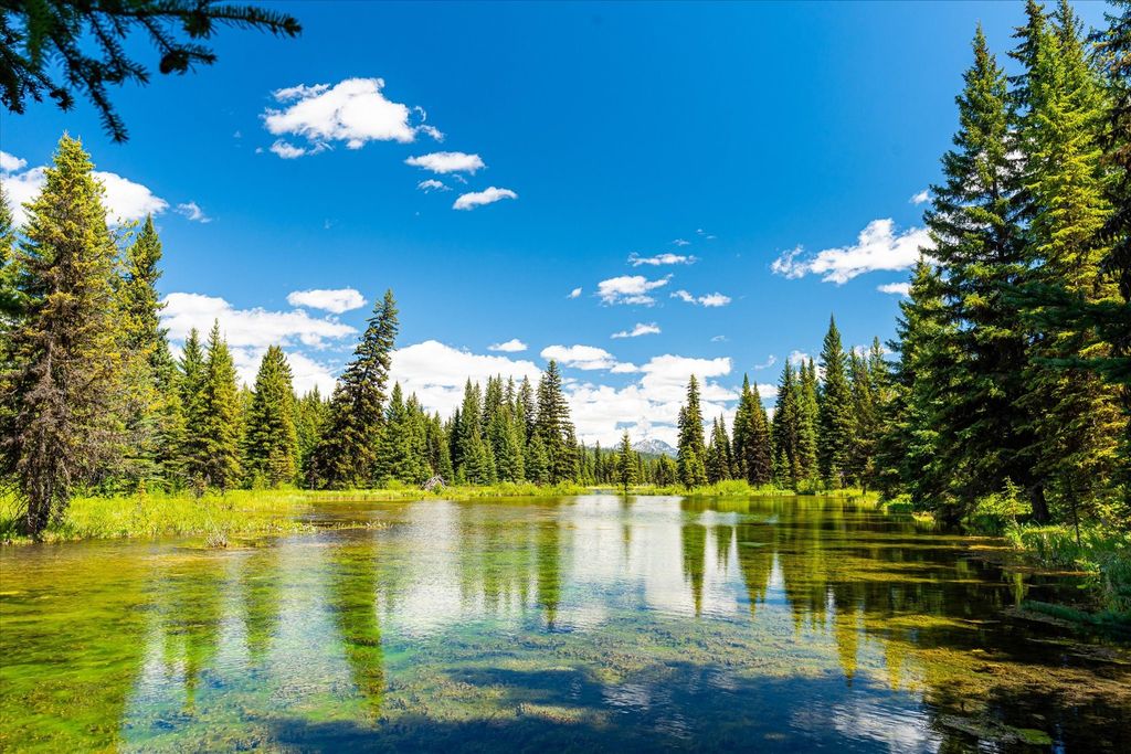 8500 North Fork Road, Polebridge, MT 59928 photo 27