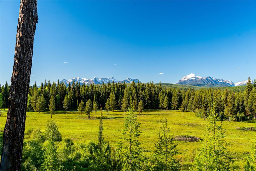 8500 North Fork Road, Polebridge, MT 59928 photo 30