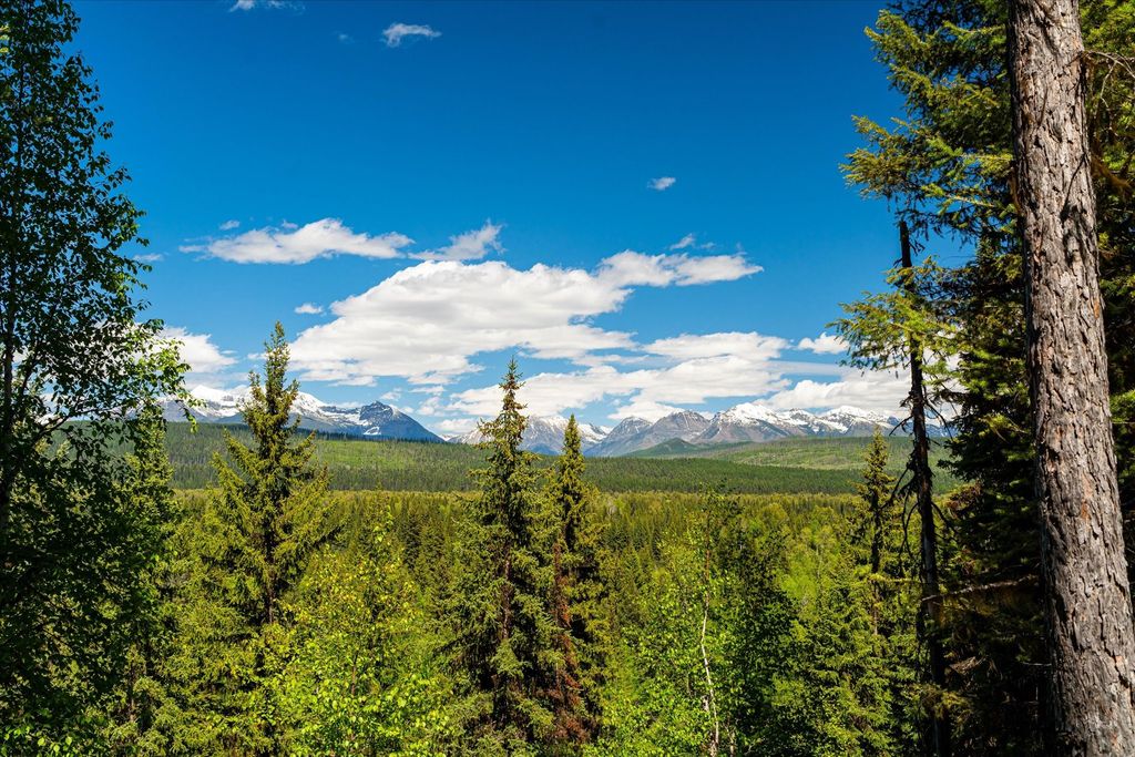 8500 North Fork Road, Polebridge, MT 59928 photo 34