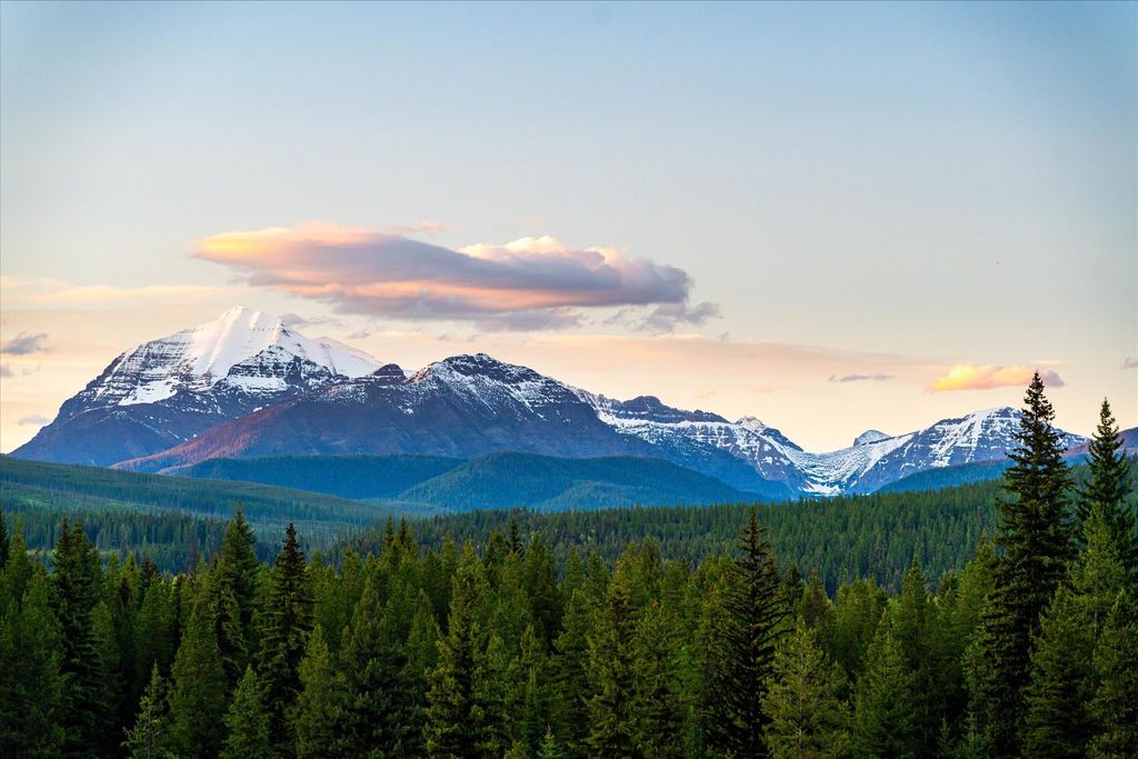 8500 North Fork Road, Polebridge, MT 59928 photo 50