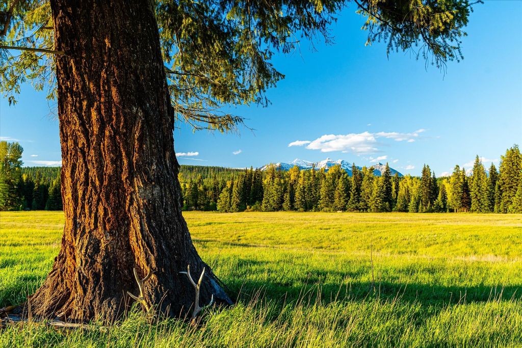 8500 North Fork Road, Polebridge, MT 59928 photo 7