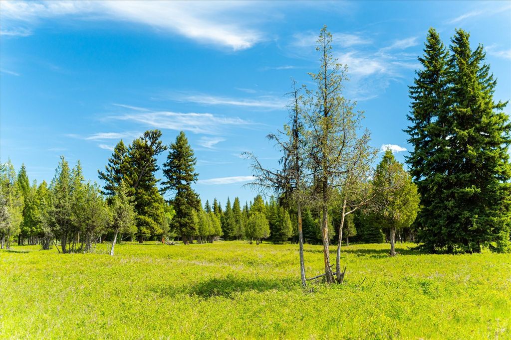 8500 North Fork Road, Polebridge, MT 59928 photo 75