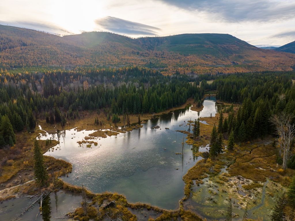 8500 North Fork Road, Polebridge, MT 59928 photo 95