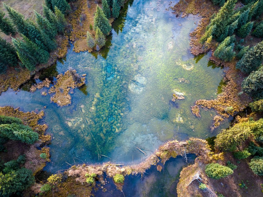 8500 North Fork Road, Polebridge, MT 59928 photo 97