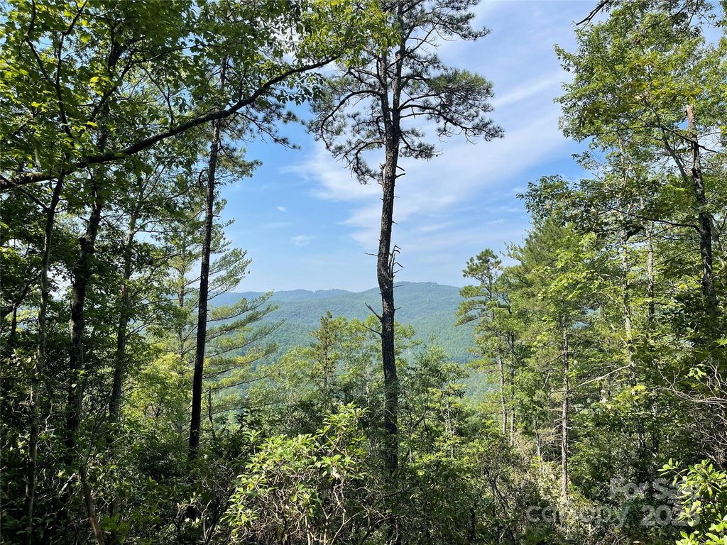 TBD Morgan Drive Tract II, Penrose, NC 28766