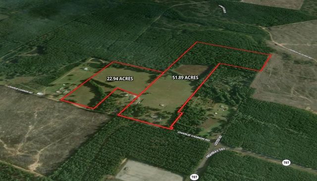 236 CHARLIE CANNON Road, Coushatta, LA 71019