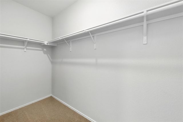 7013 Tonka LN, Austin, TX 78744