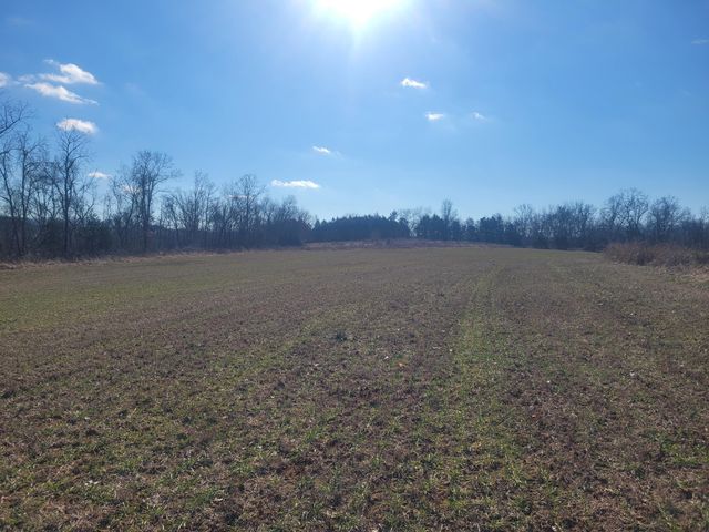 361 Hickory Flats Road, Ava, MO 65608