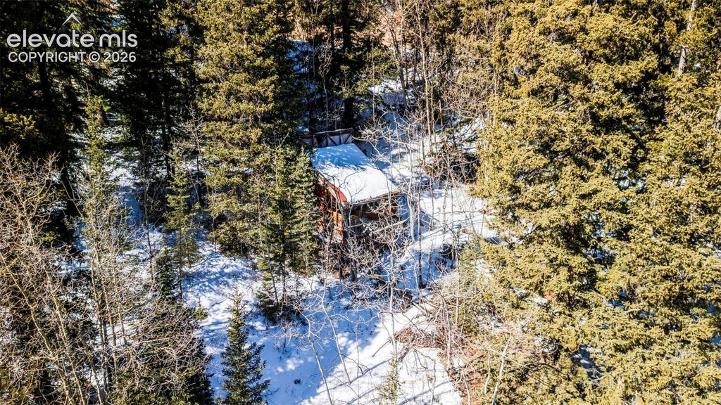 944 Roberts Road, Alma, CO 80420 — exterior