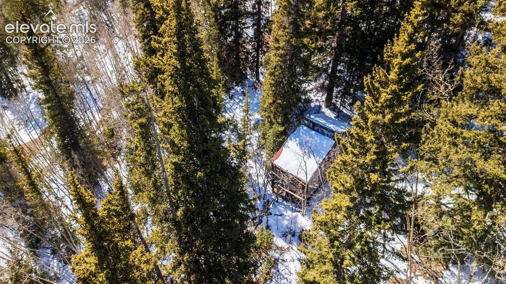 944 Roberts Road, Alma, CO 80420 — photo 3