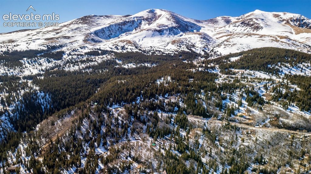 944 Roberts Road, Alma, CO 80420 — photo 5