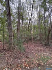 LOT 124 Evergreen Way, Cherokee Ridge, AL 35175