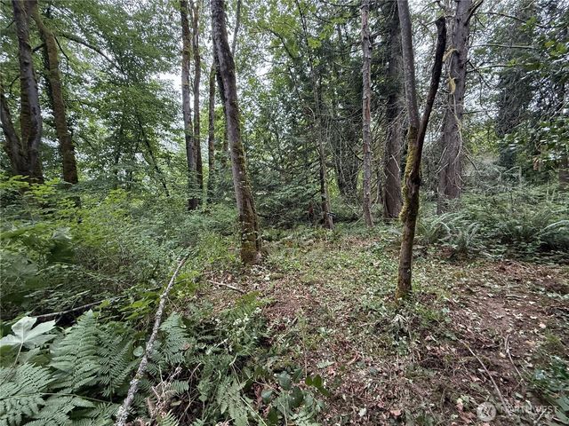 5 xxx 229th Avenue SE, Issaquah, WA 98027