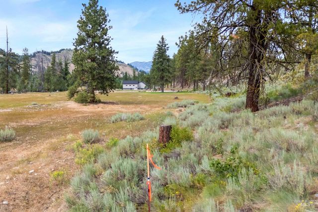 Lot 49 Block 1 Amended Elk Valley, Featherville, ID 83647