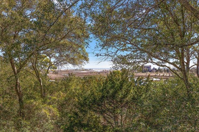 199 Lake Timicau Lane, Dewees Island, SC 29451