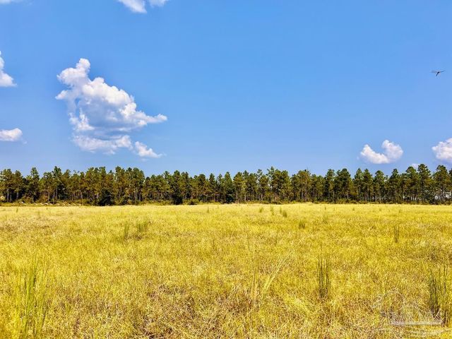 Lot 26 Morgans Branch, Molino, FL 32577