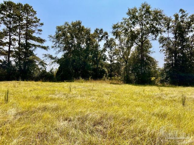 Lot 26 Morgans Branch, Molino, FL 32577