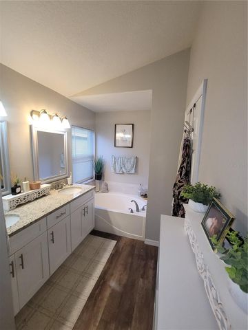 22803 RICHARDSON LANE, Land O Lakes, FL 34639