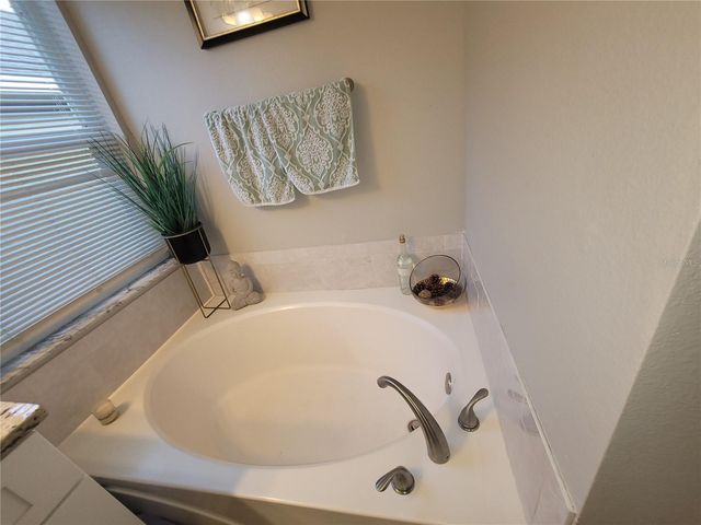 22803 RICHARDSON LANE, Land O Lakes, FL 34639