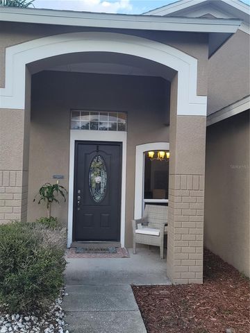 22803 RICHARDSON LANE, Land O Lakes, FL 34639