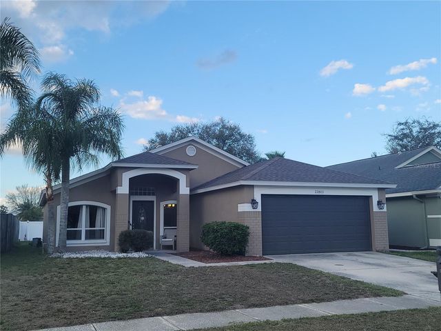 22803 RICHARDSON LANE, Land O Lakes, FL 34639