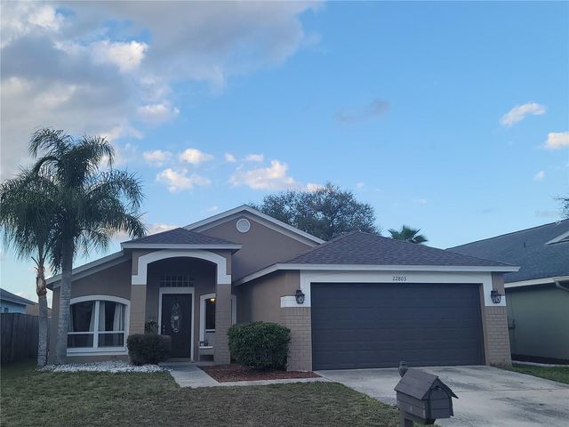 22803 RICHARDSON LANE, Land O Lakes, FL 34639