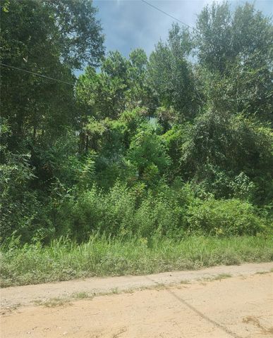 19094 Norfolk, New Caney, TX 77357