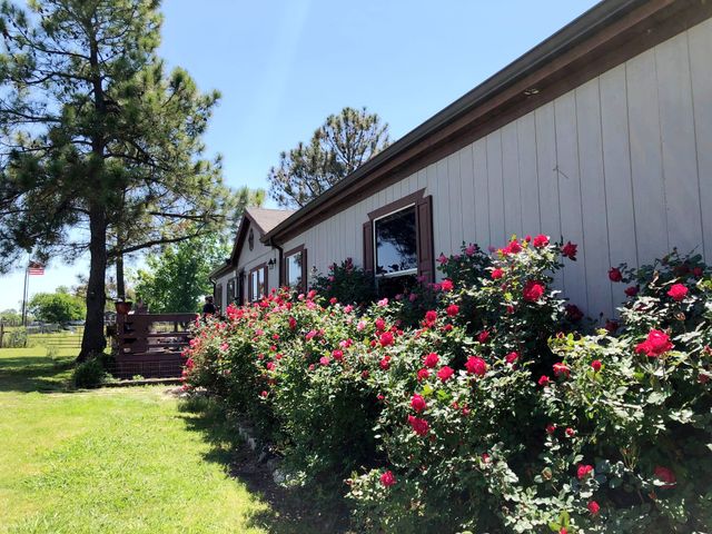272 County Road 2062, Klondike, TX 75448