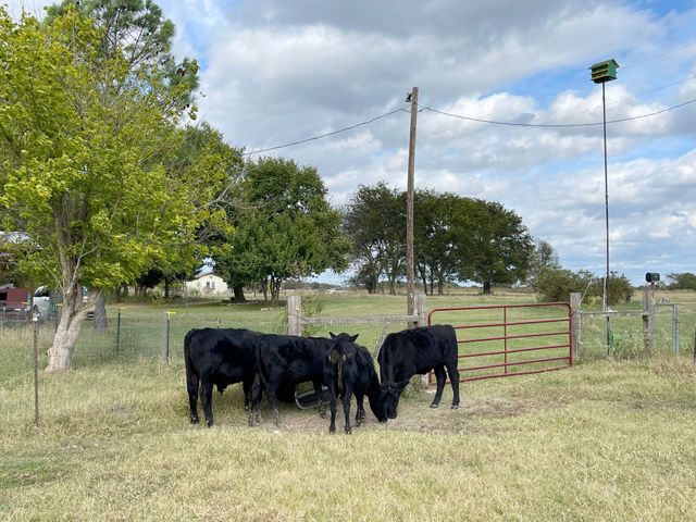 272 County Road 2062, Klondike, TX 75448