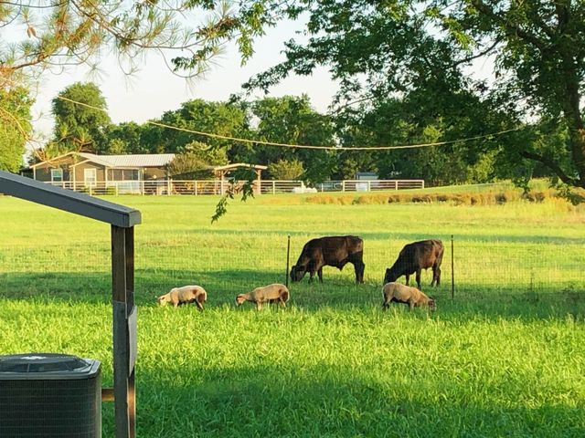 272 County Road 2062, Klondike, TX 75448