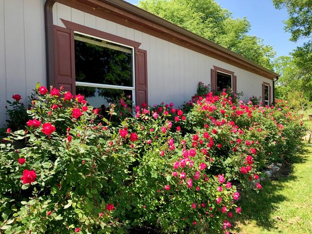 272 County Road 2062, Klondike, TX 75448