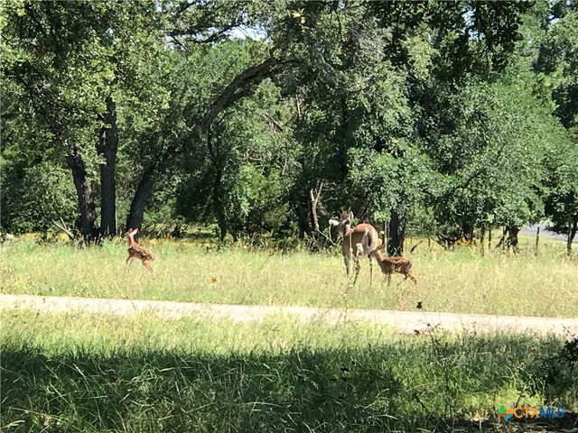 280 Sunset Terrace, Cedar Park, TX 78613