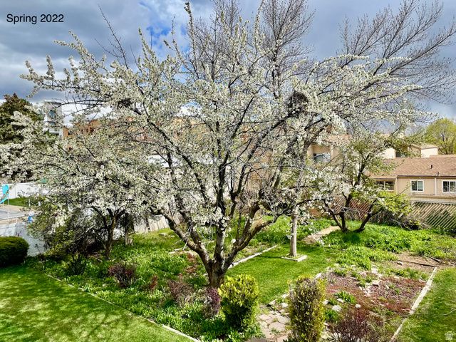 1644 E 700 S, Clearfield, UT 84015