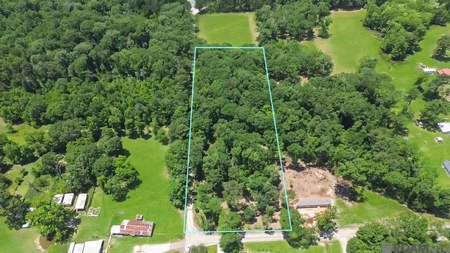 Tract C Picou Rd, Maurepas, LA 70449