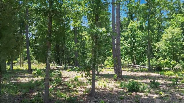 Tract C Picou Rd, Maurepas, LA 70449