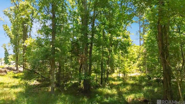 Tract C Picou Rd, Maurepas, LA 70449