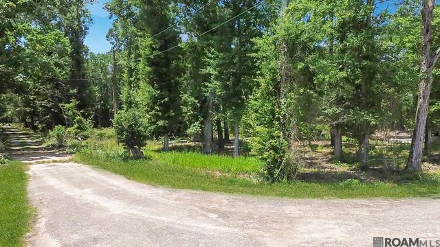 Tract C Picou Rd, Maurepas, LA 70449