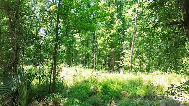 Tract C Picou Rd, Maurepas, LA 70449