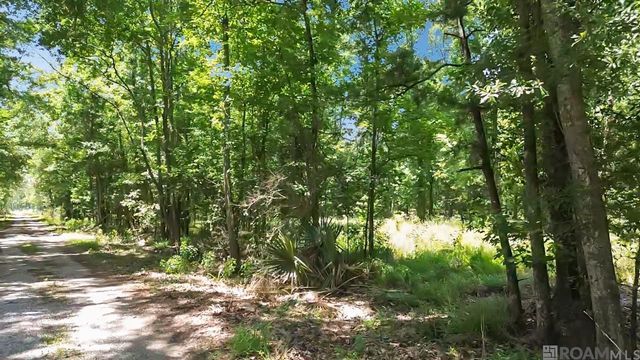 Tract C Picou Rd, Maurepas, LA 70449