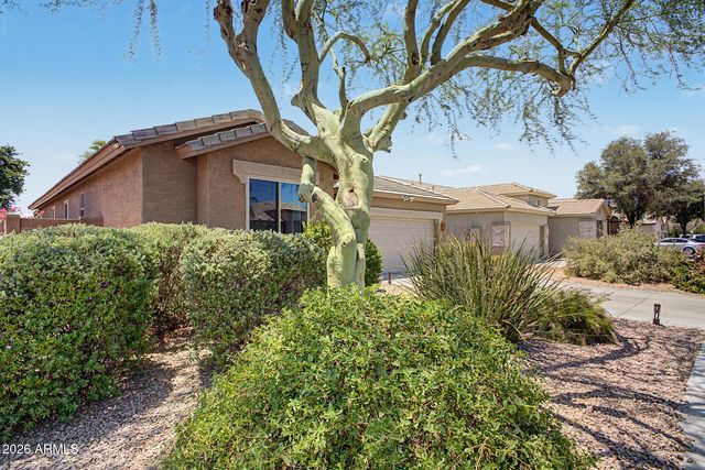 12377 W HARRISON Street, Avondale, AZ 85323