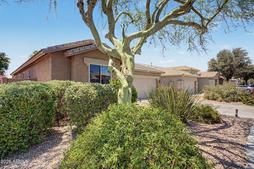 12377 W HARRISON Street, Avondale, AZ 85323 — photo 3