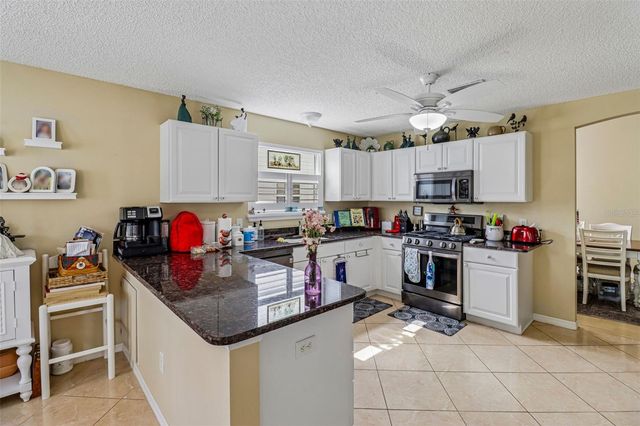 16581 SE 77TH NORTHRIDGE COURT, The Villages, FL 32162