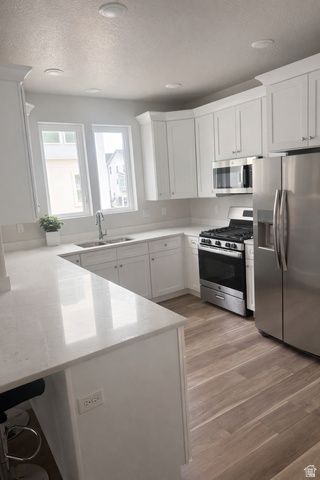 1024 S 2770 E, Spanish Fork, UT 84660