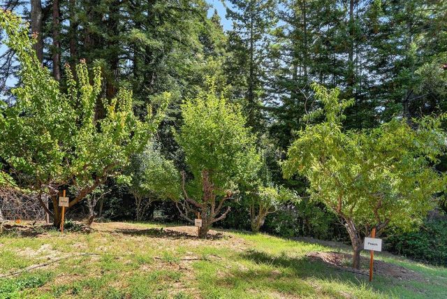 303 Sanborn Lane, Felton, CA 95018