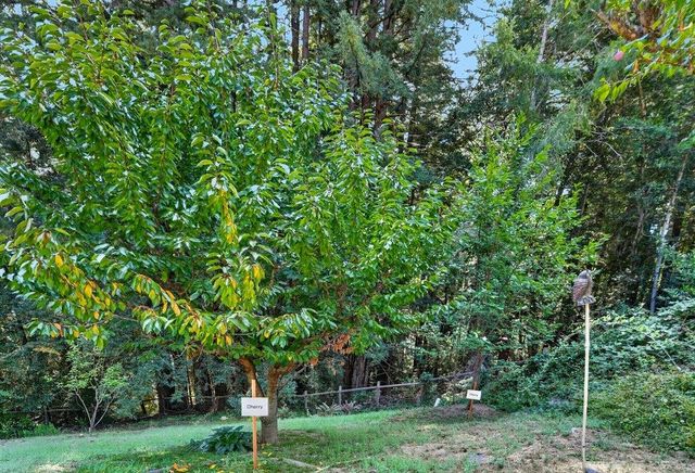 303 Sanborn Lane, Felton, CA 95018