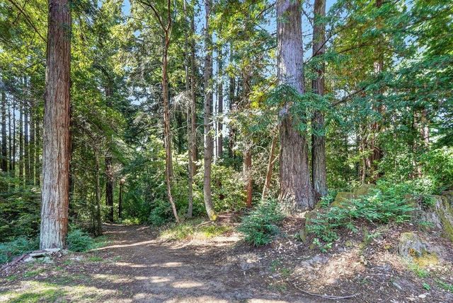 303 Sanborn Lane, Felton, CA 95018